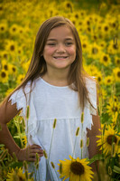 Lauren Sunflowers